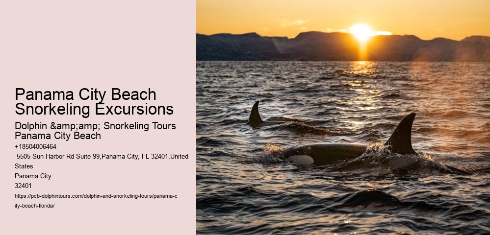 Panama City Beach Snorkeling Excursions
