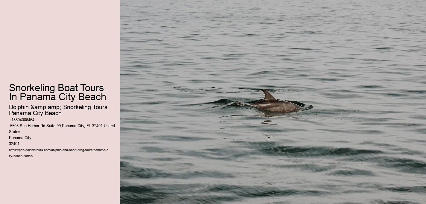 Snorkeling Boat Tours In Panama City Beach