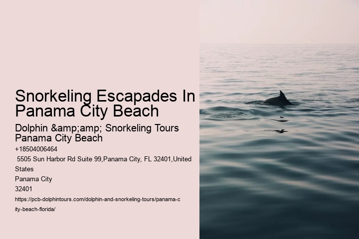 Snorkeling Escapades In Panama City Beach