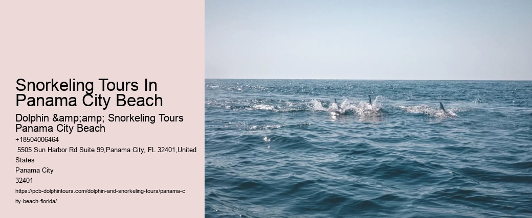 Snorkeling Tours In Panama City Beach